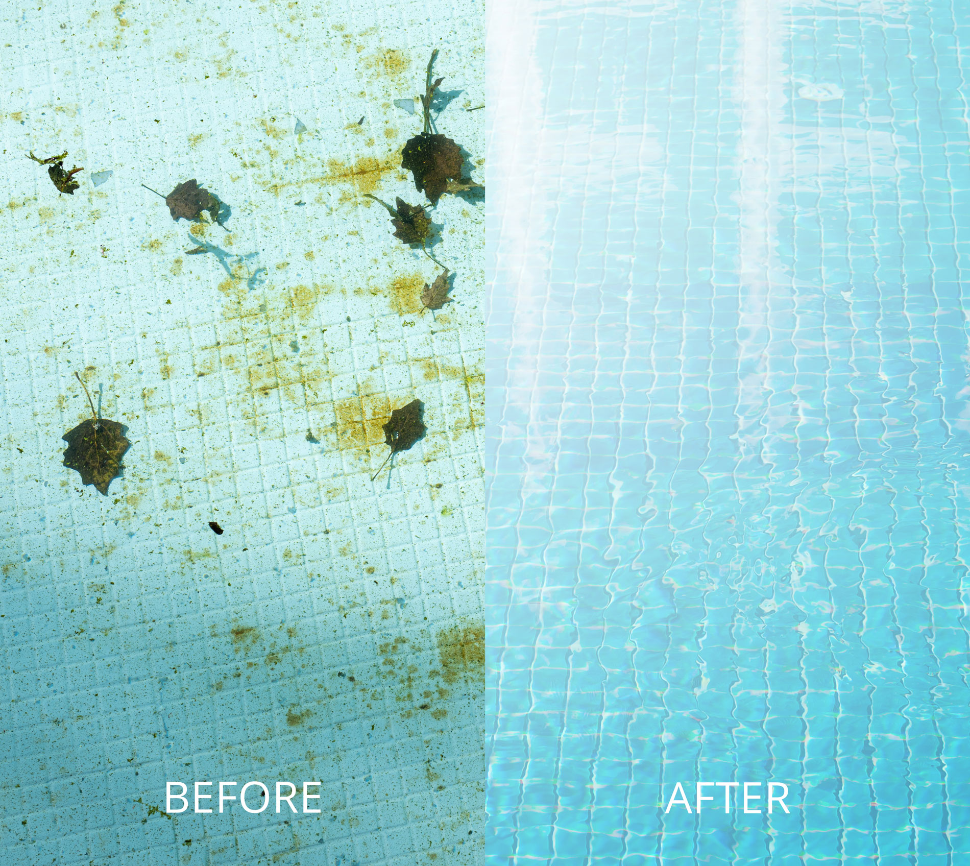 pool repair and cleaning