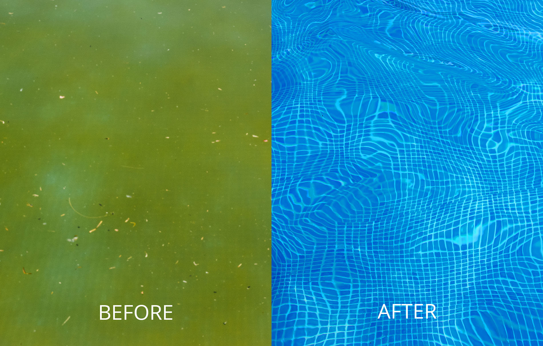 pool repair and cleaning